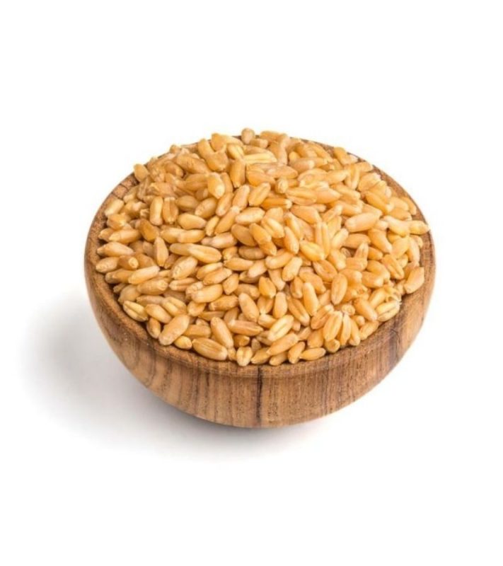 whole-wheat